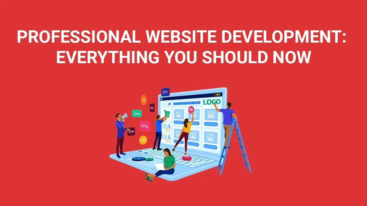 DESARROLLO PROFESIONAL DE SITIOS WEB