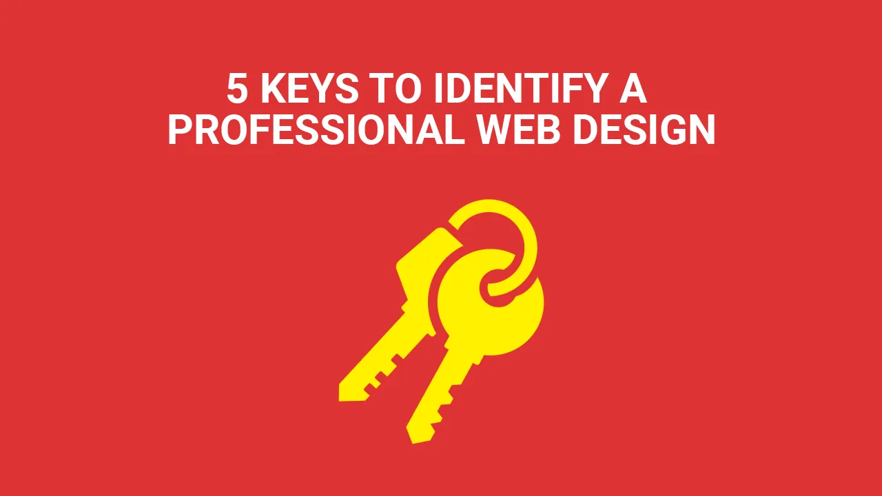 DISEÑO WEB PROFESIONAL