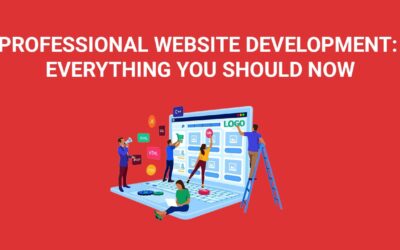 Professional website development: everything you should now